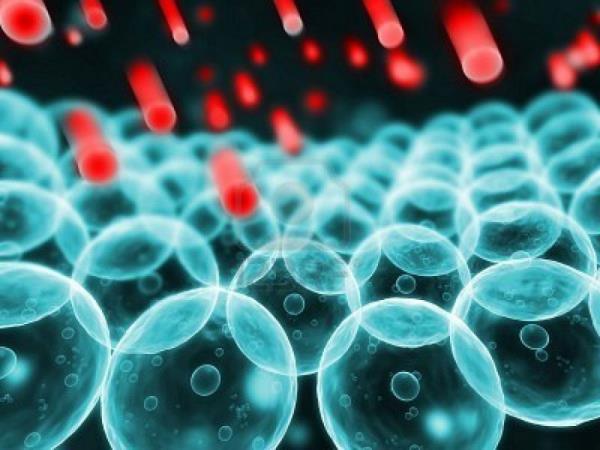 5 jedi, kjer bi najmanj pričakovali antioksidante